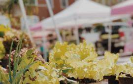 Dallas Farmers Market