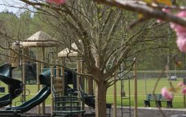 Sara Babb Playground With Pink Flowers