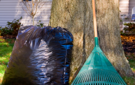 YARDDEBRIS
