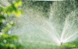 Sprinkler 