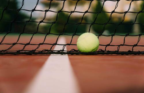 Photo of a tennis ball resting at the net 