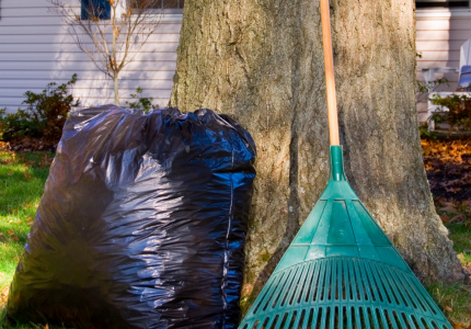 YARDDEBRIS