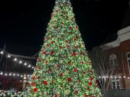 Tree Lit
