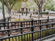 Photo of trees in the dallas courtyard