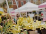 photo of the dallas farmers market