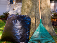 yard debris