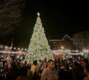 Christmas Tree Lighting