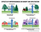 Info graphic on the impact of impervious ground on stormwater