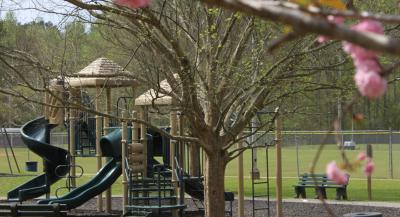 Sara Babb Playground With Pink Flowers
