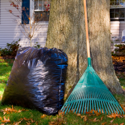 YARDDEBRIS